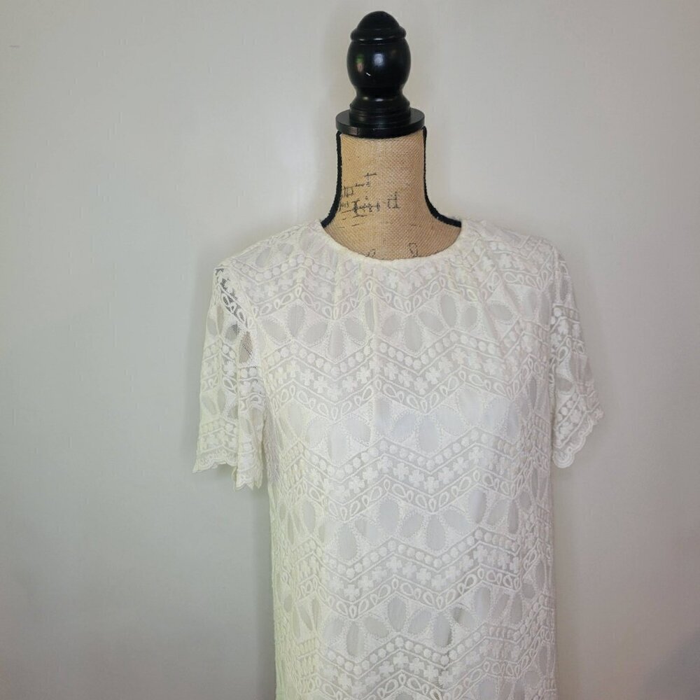 Zara Basic Collection Ivory Embroidered Lace Crew… - image 6